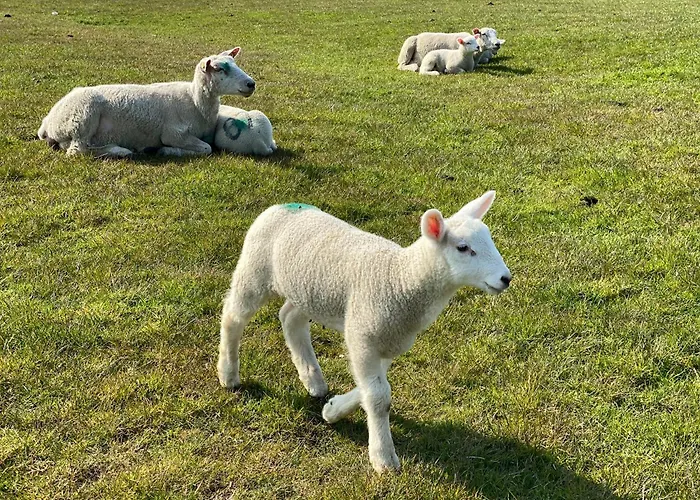 Semesterbostad To Huus Bi De Tine